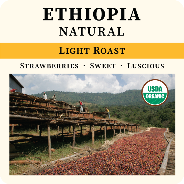 Light Roast version of Ethiopia Natural Single-Origin Coffee