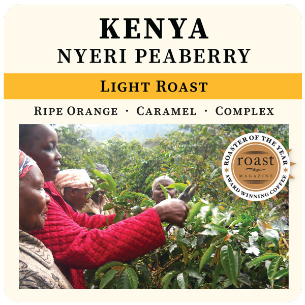Light Roast Kenya Nyeri Peaberry coffee beans