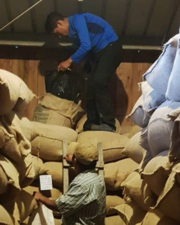 Panama - Catuai Caturra - Washed - Finca Los Cantares