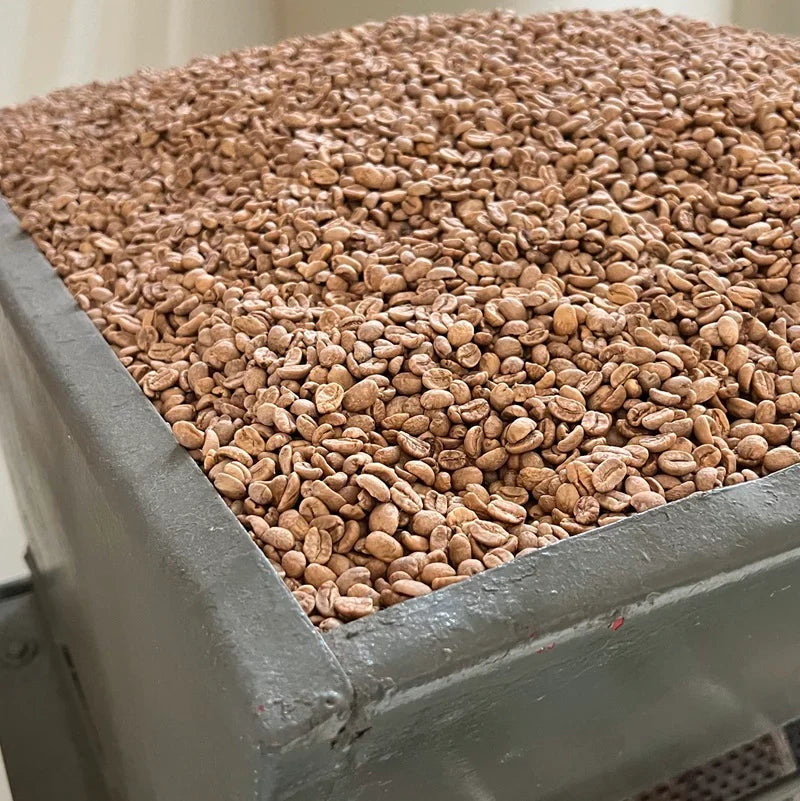 Condor Colombia EA Decaf – Single Origin Medium-Dark Roast | Good Brothers Coffee