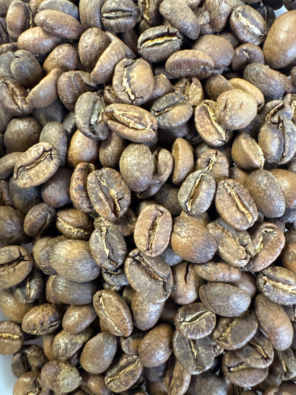 Colombia Finca El Diviso Java Washed Anaerobic – SCA 91 | Good Brothers Coffee