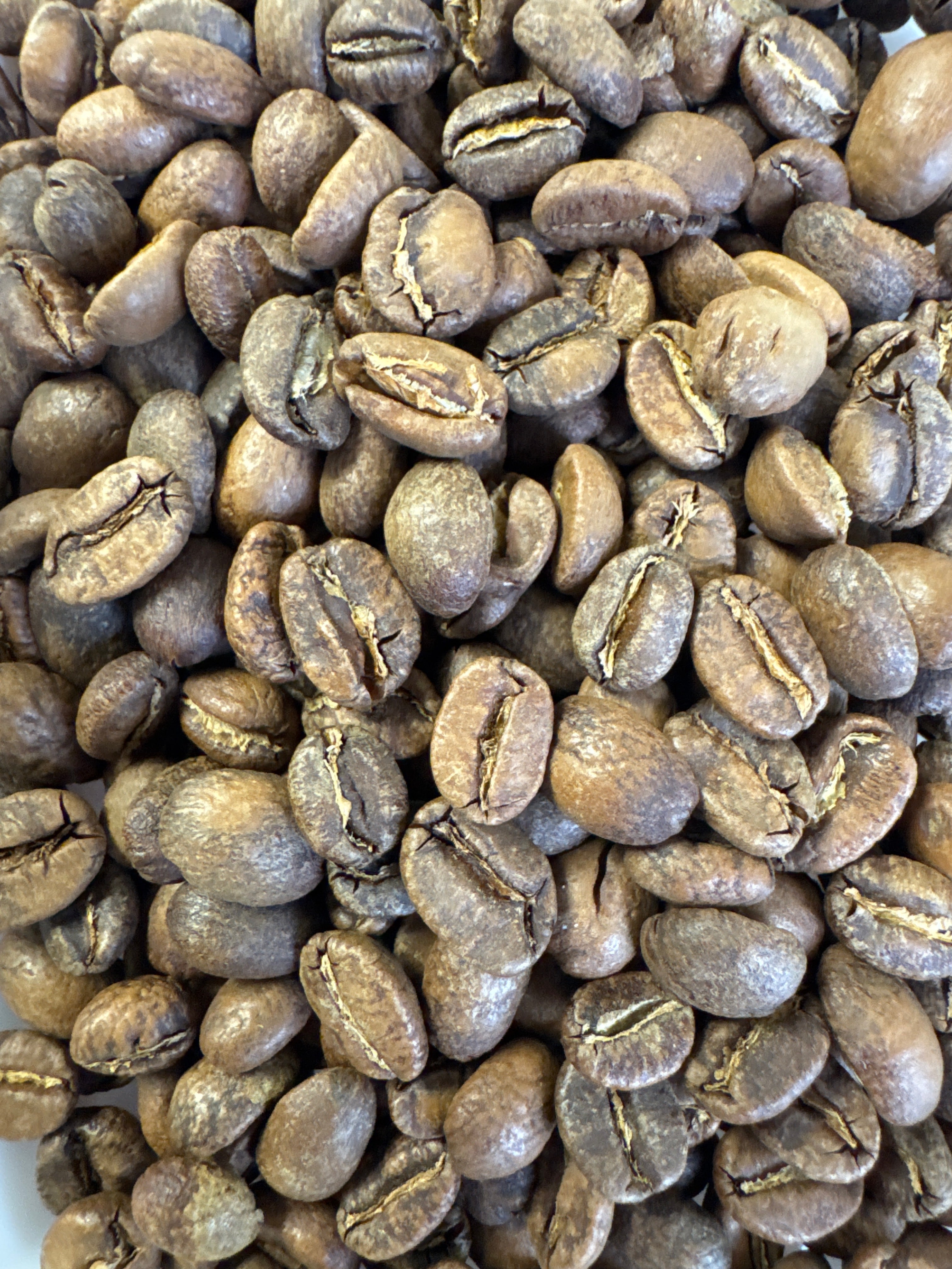 Colombia Finca El Diviso Java Washed Anaerobic – SCA 91 | Good Brothers Coffee
