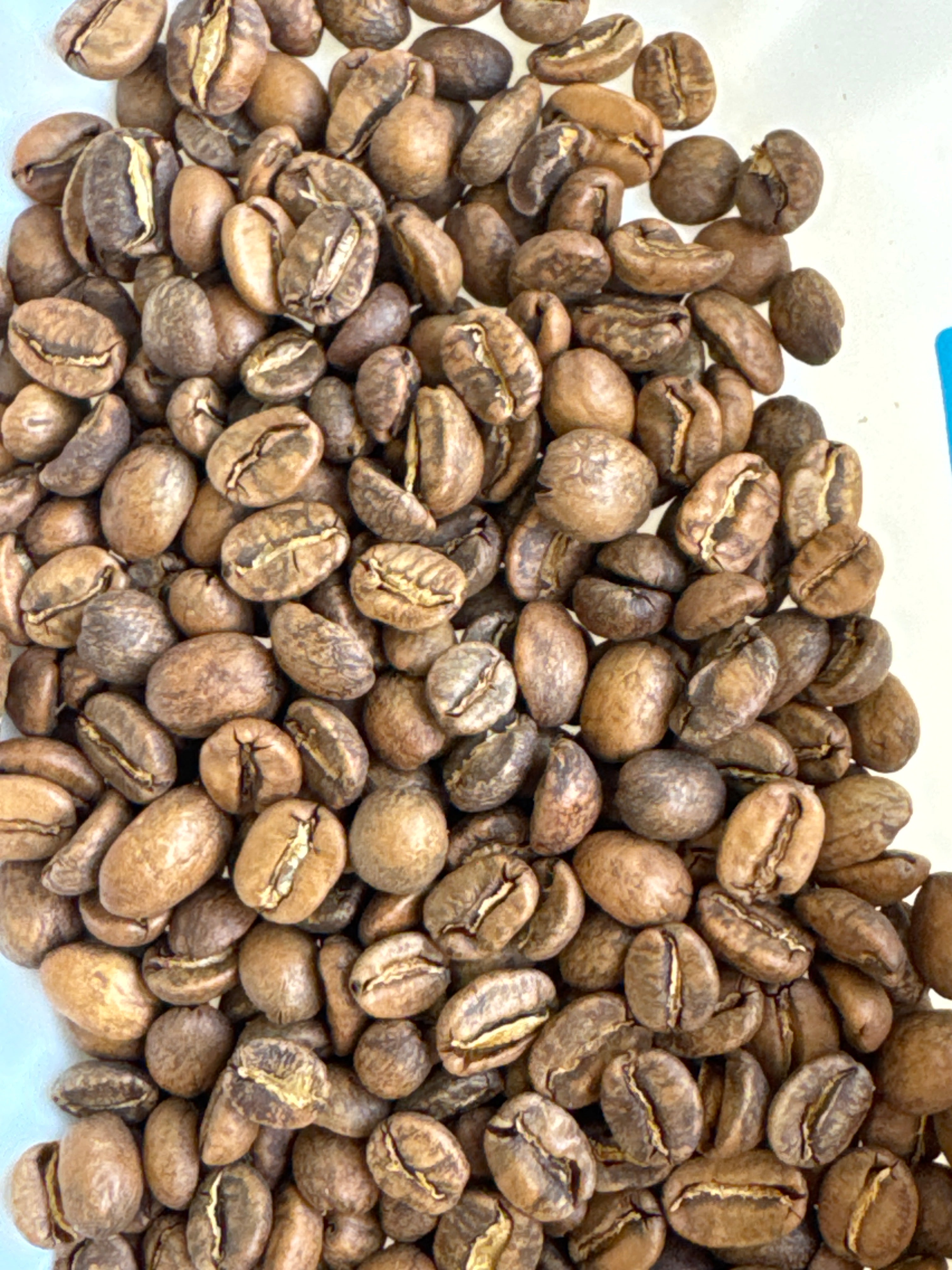 Peru Aromas del Valle Merly León G1 – Washed Organic Light Roast | Good Brothers Coffee