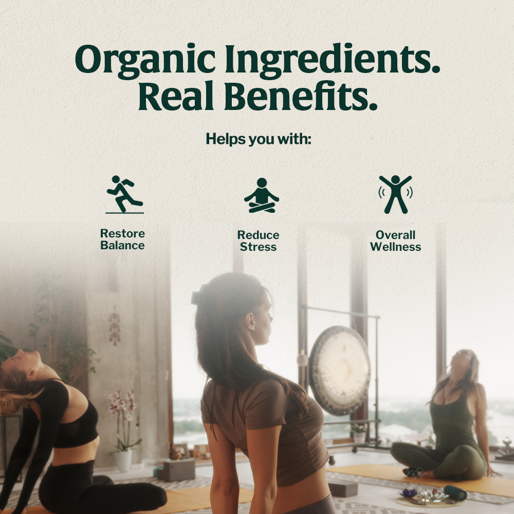 Artizan Organic Mushroom 14 Espresso Capsules – 10 Count