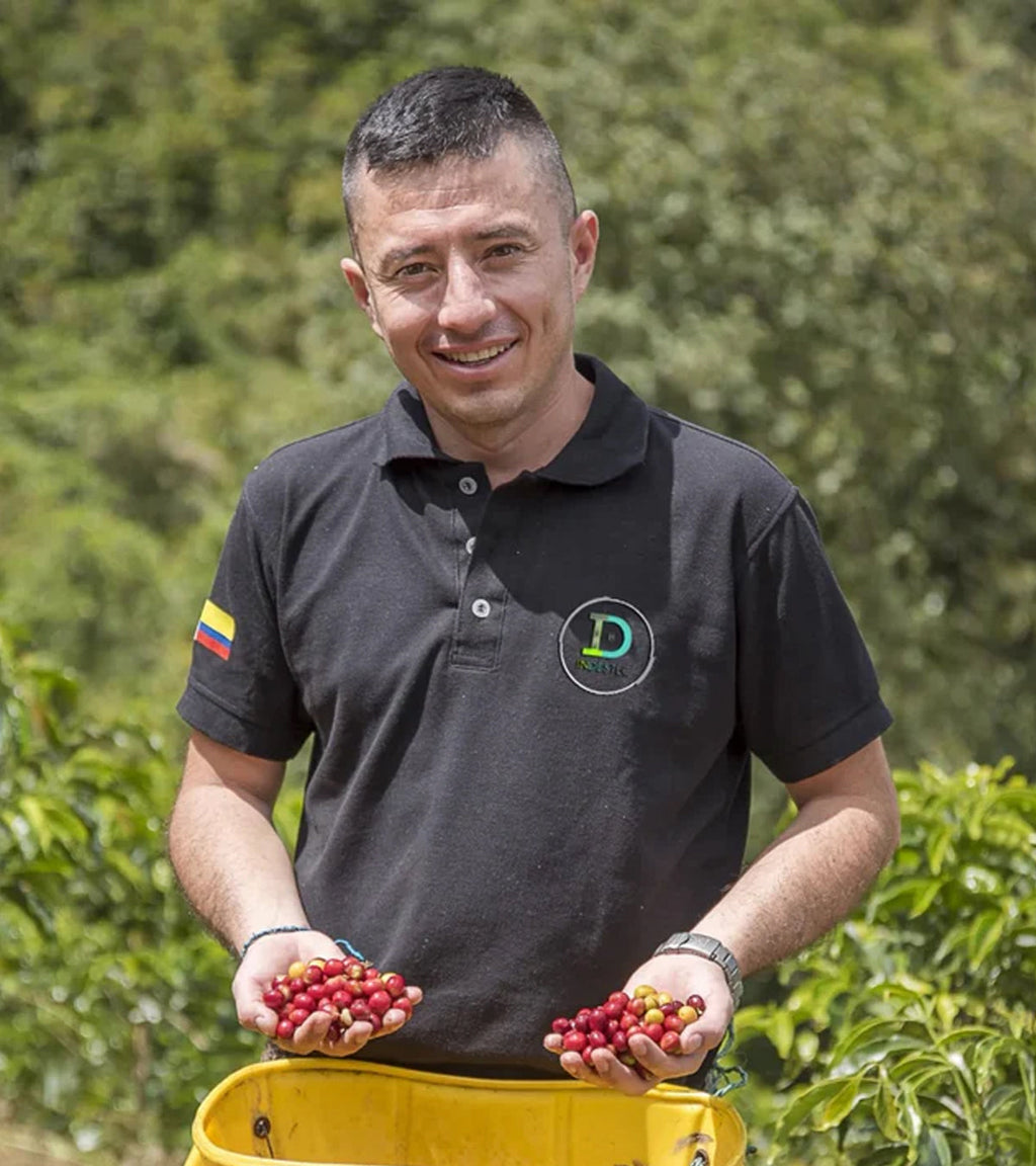 Finca El Paraíso Lychee Peach Sugarcane Decaf - Fermented | Colombia | 8 oz