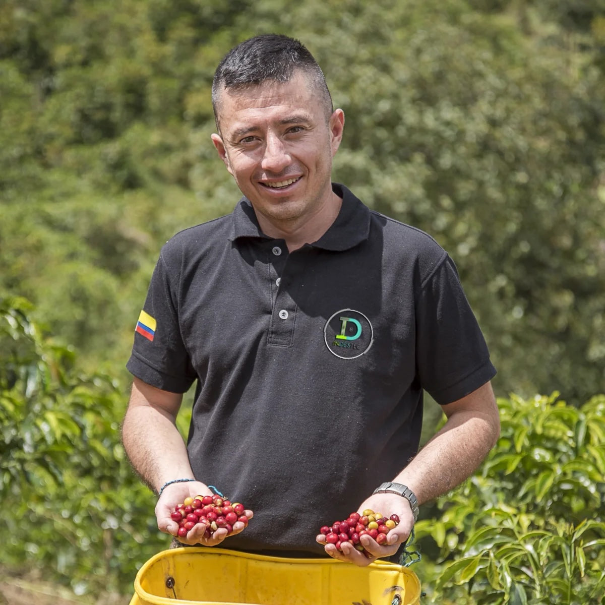 Finca El Paraíso Castillo Sugarcane Decaf Coffee | 8 oz | Coffee Score 93