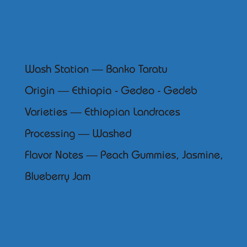 Ethiopia Banko Taratu