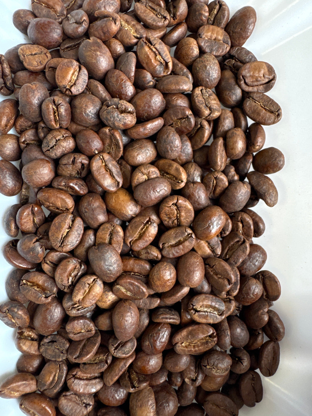 Condor Colombia EA Decaf – Single Origin Medium-Dark Roast | Good Brothers Coffee