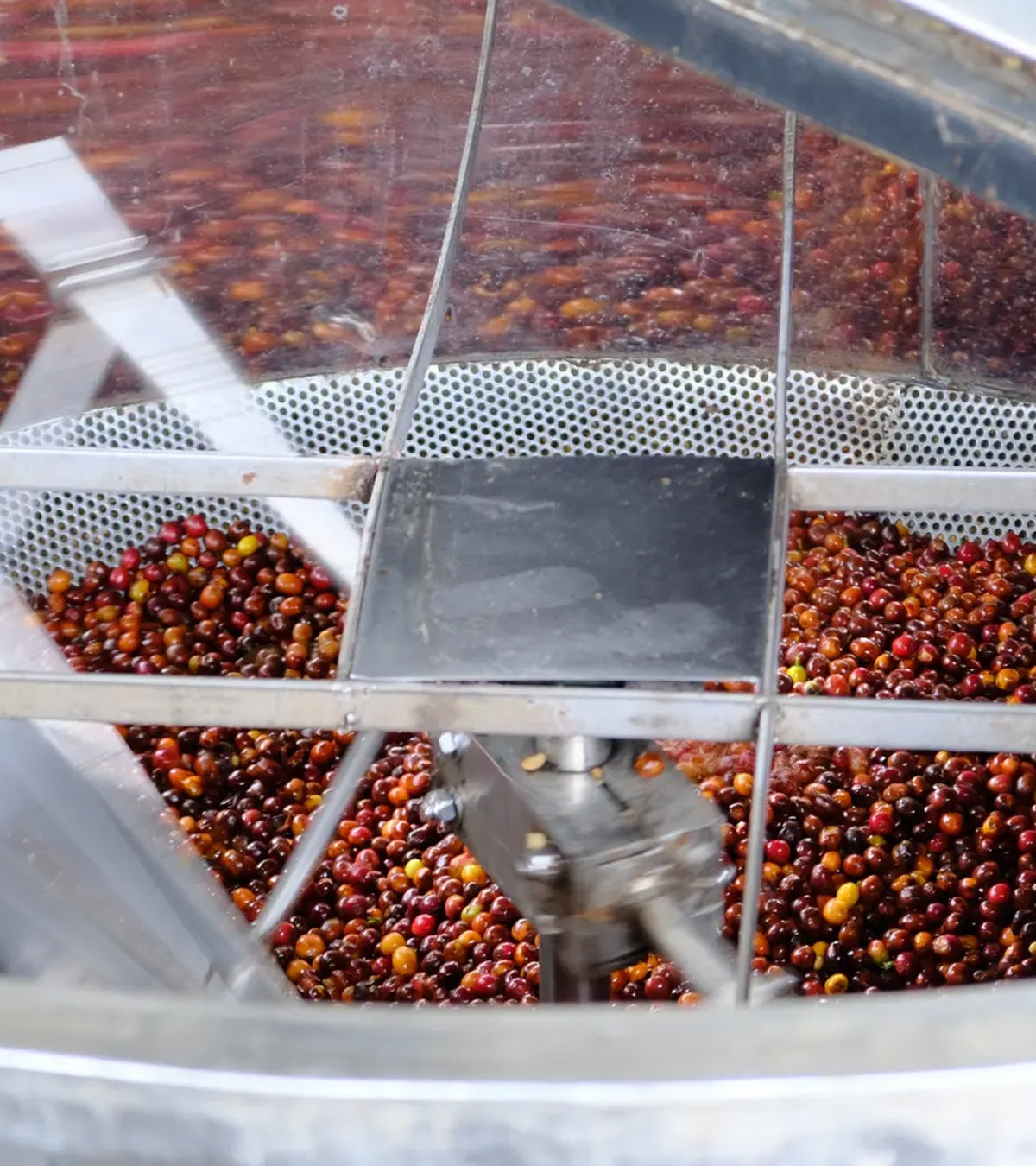 Finca El Paraíso Lychee Peach Sugarcane Decaf - Fermented | Colombia | 8 oz