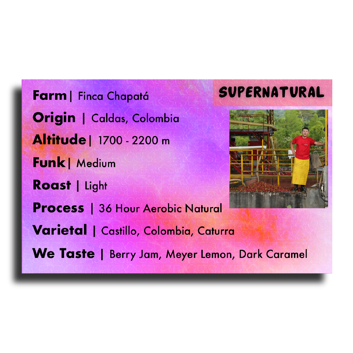 Supernatural – Colombian Washed Coffee from Anserma Cooperative (Whole Bean or Drip | ½LB–5LB)