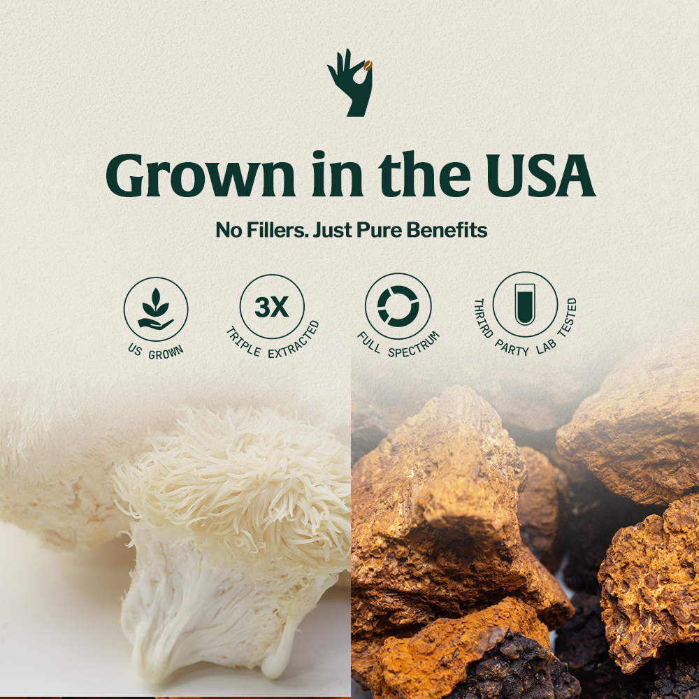 Artizan Organic Lion’s Mane & Chaga Mushroom Coffee