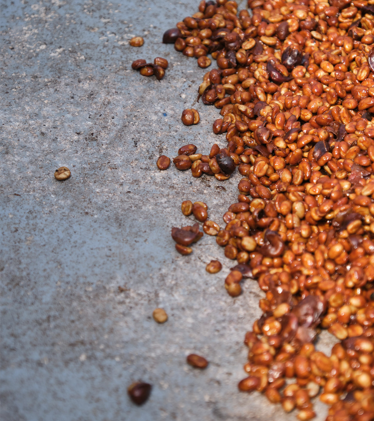Las Lajas Laurina Black Honey Coffee | Naturally Lower Caffeine | 8 oz