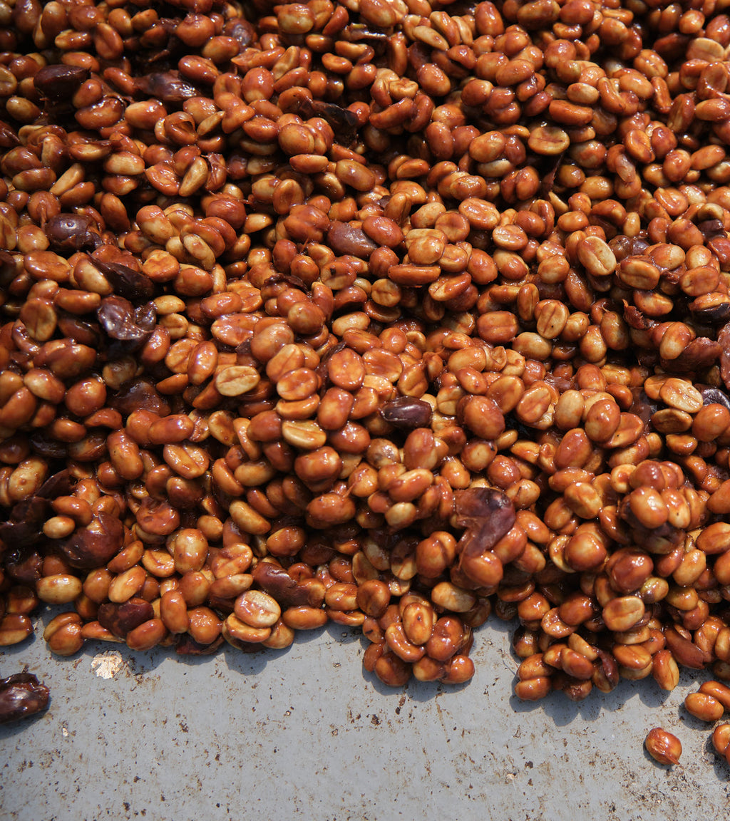 Las Lajas Laurina Black Honey Coffee | Naturally Lower Caffeine | 8 oz