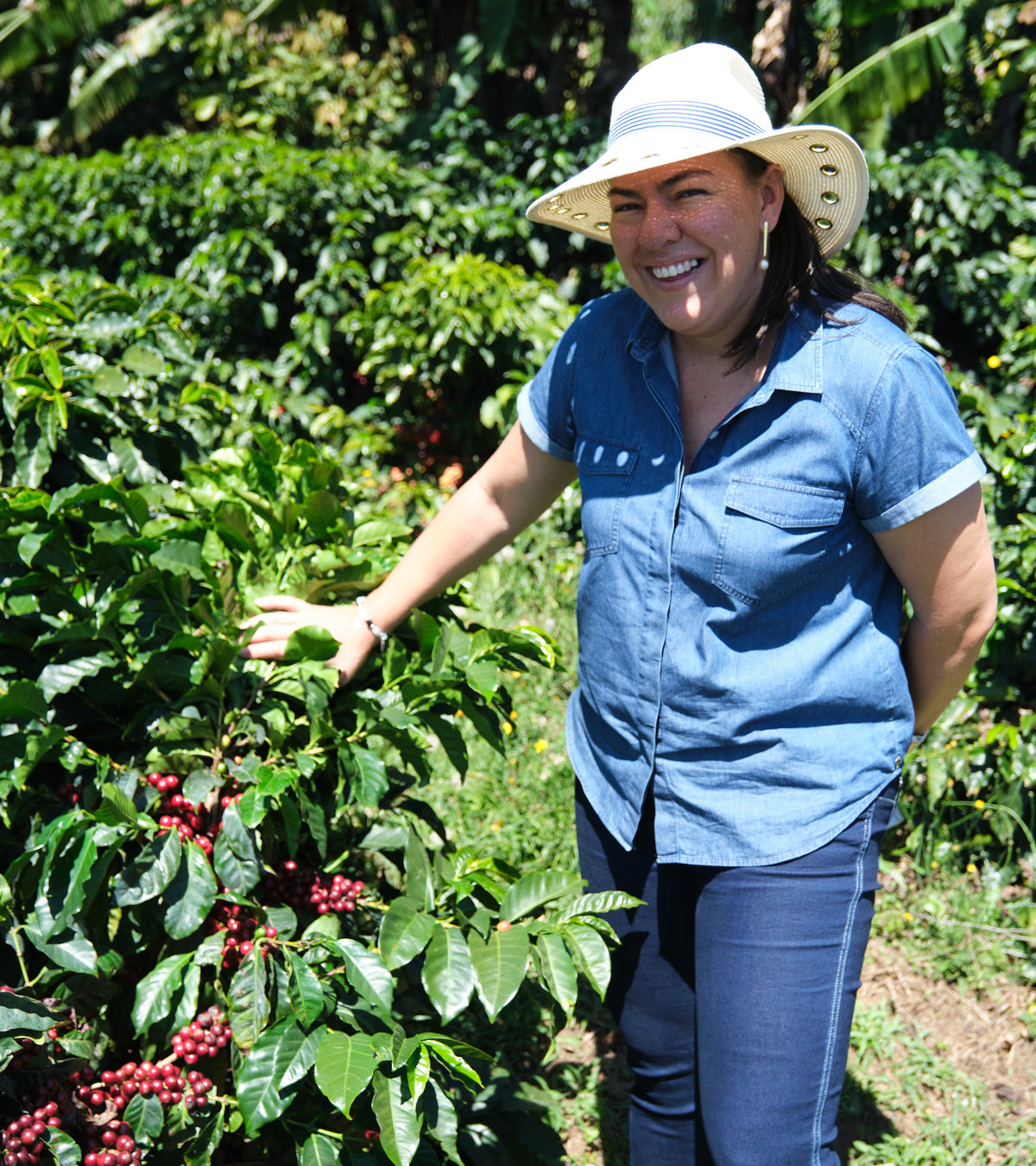 Las Lajas Laurina Black Honey Coffee | Naturally Lower Caffeine | 8 oz