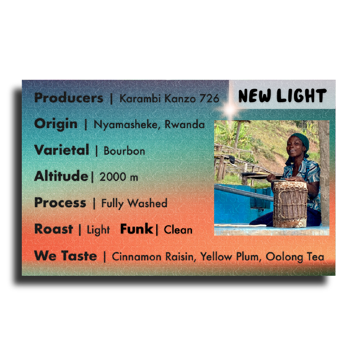 New Light – Rwanda Kanzu 726 Washed Coffee (Karambi, Nyamasheke | Whole Bean or French Press | ½LB–5LB)