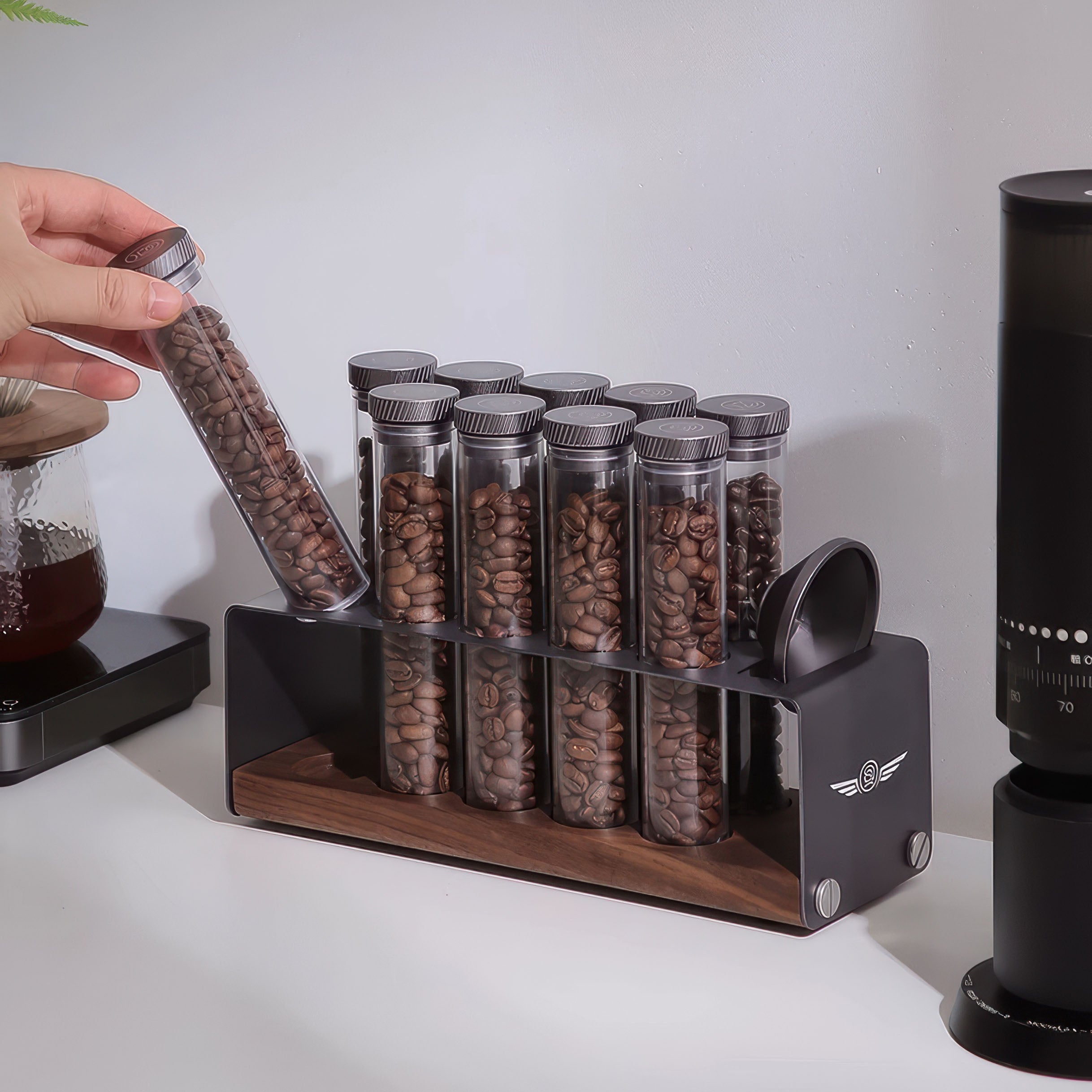 Pro Coffee Bean Storage Display & Degassing Stand - Shop Coffee Hobby
