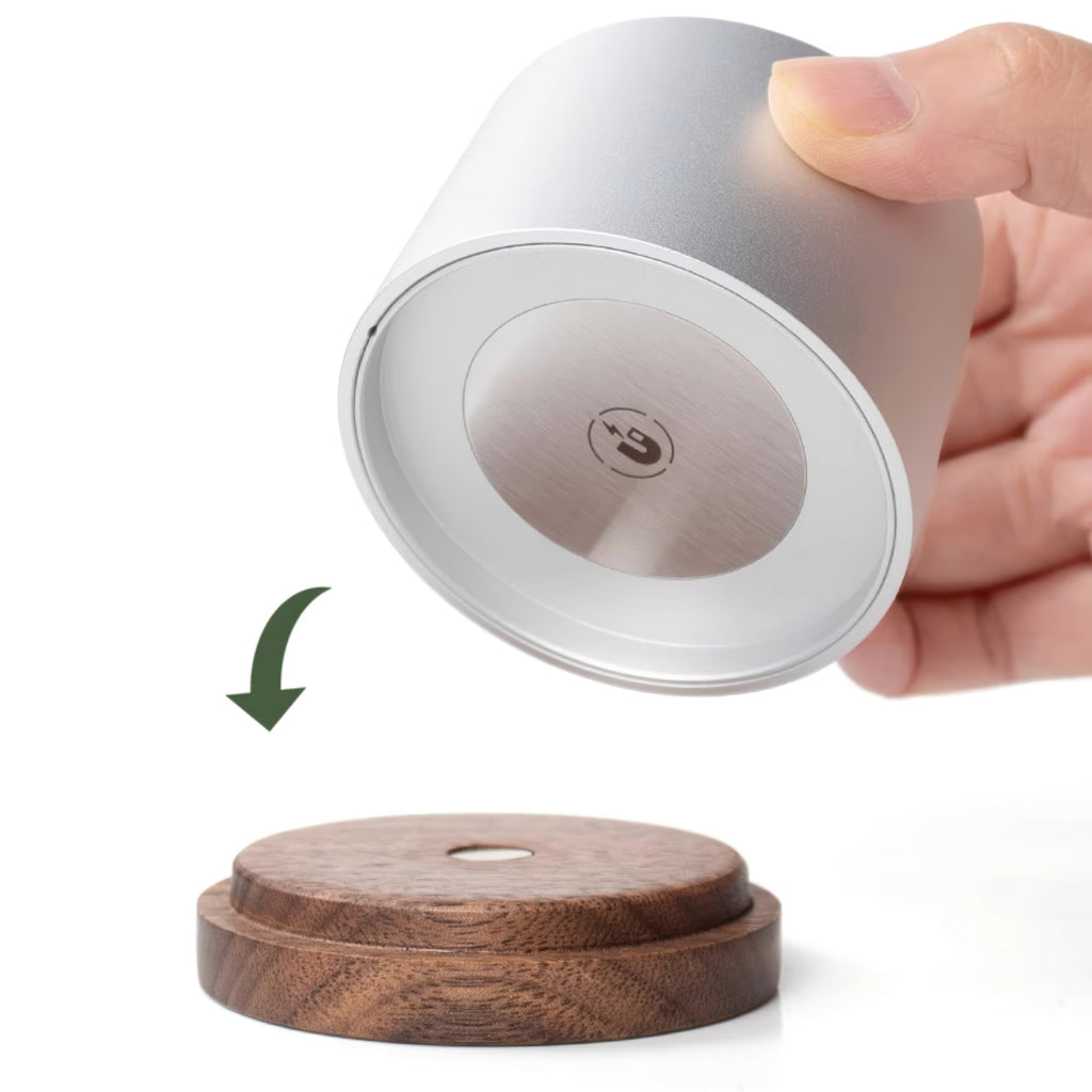 Universal Coffee Filter Paper Storage - Shop Coffee Hobby