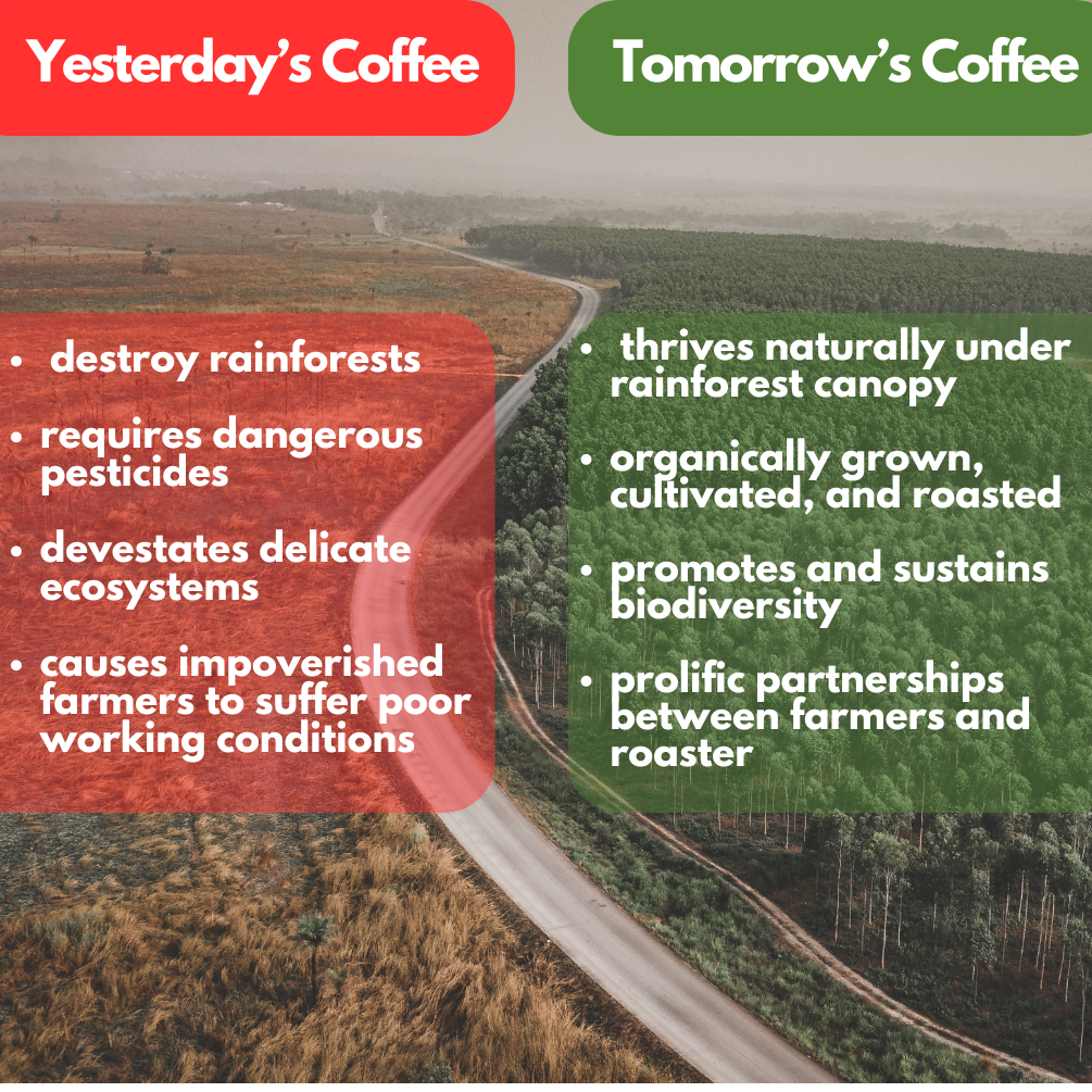 Organic Nicaraguan Coffee, medium roast version