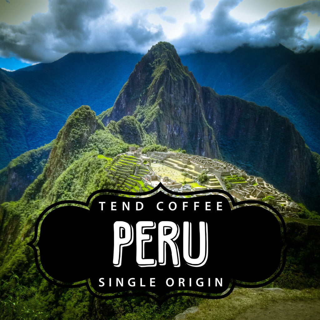 1 lb Whole Bean & Ground Organic Peru Coffee from Tend Coffee