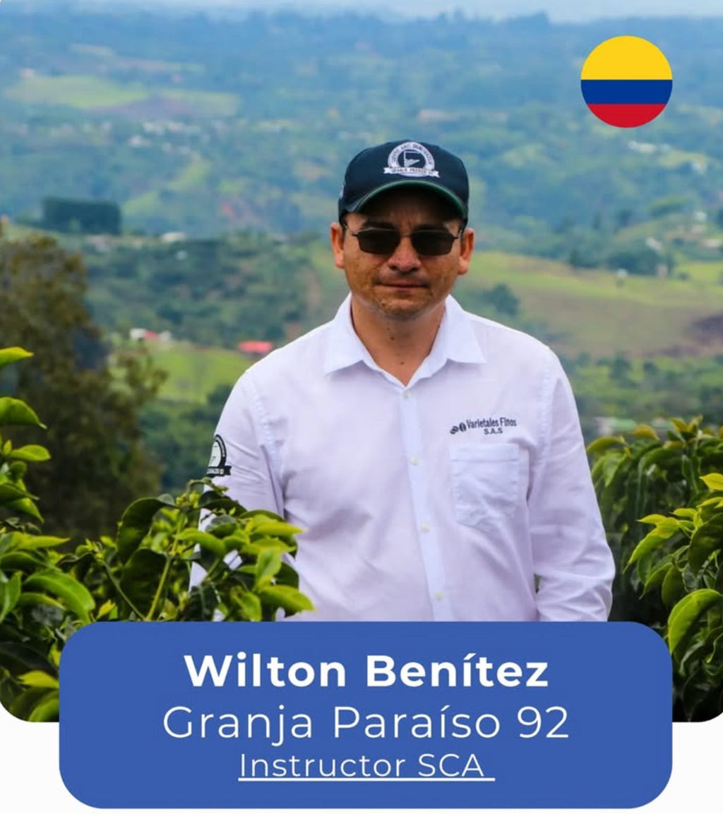 Wilton Benítez Red Bourbon Sugarcane Decaf Coffee | Colombia | 8 oz | Coffee Score 94