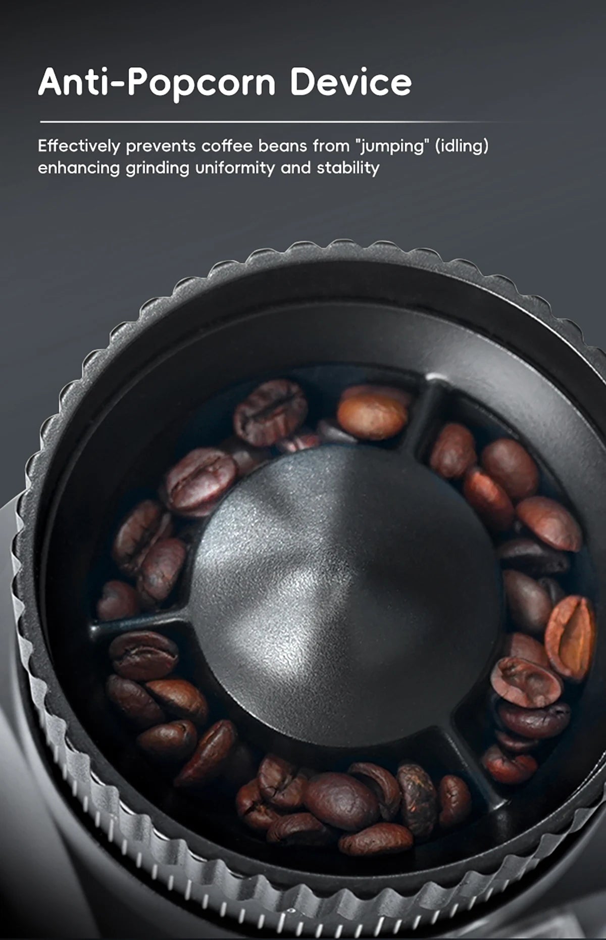 64mm Titanium-Coated Flat Burrs Espresso Grinder by Shop Coffee Hobby