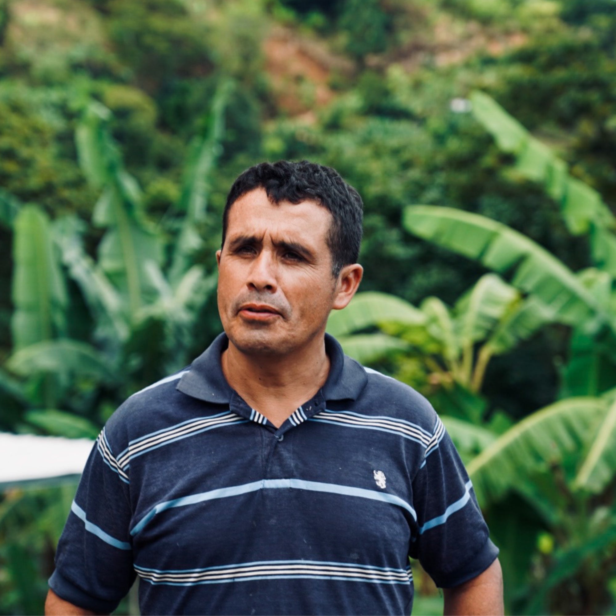 Honduras Dos Andres Gesha Washed – Light Roast Specialty Coffee