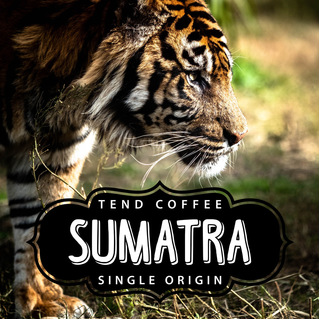 1 lb Whole Bean & Ground Organic Sumatra Coffee