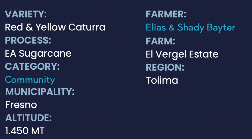 Condor Colombia EA Decaf – Single Origin Medium-Dark Roast | Good Brothers Coffee