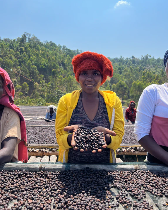 Ethiopia Sidama Ayla Shantawene – Ultralight Washed | Good Brothers Coffee