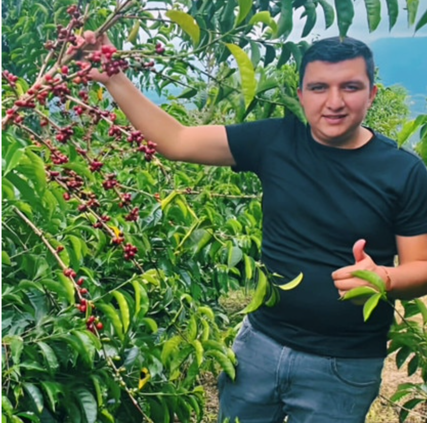 Colombia Finca El Diviso Java Washed Anaerobic – SCA 91 | Good Brothers Coffee
