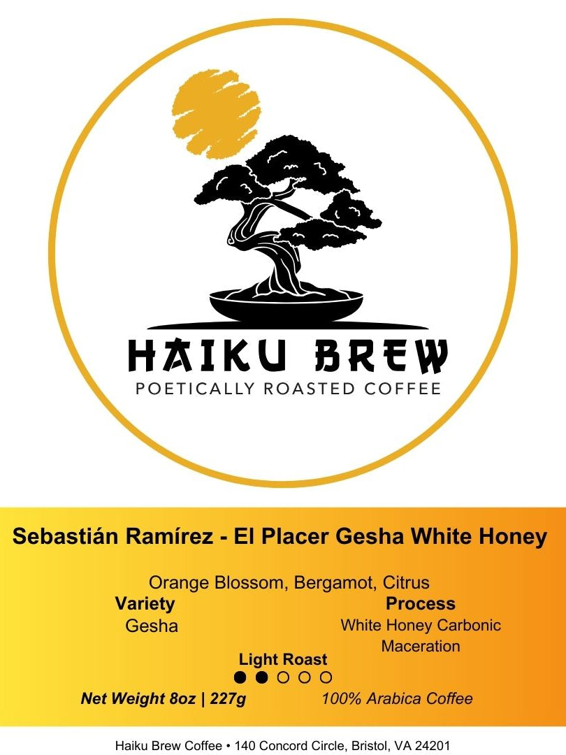 Colombia Gesha White Honey – Sebastián Ramírez, El Placer