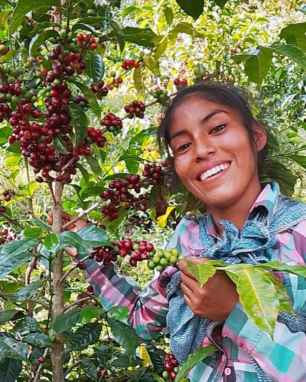 Peru - Gesha Inka -  SL9 -  Washed Double Fermented - Cornelio Camiña Villano