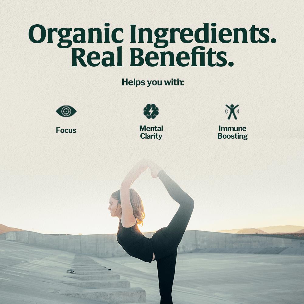 Artizan Organic Lion’s Mane & Chaga Mushroom Coffee - Shop Coffee Hobby