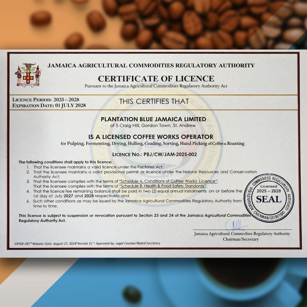 Plantation Blue 100% Jamaica Blue Mountain Coffee - Dark Roasted Beans (12oz)