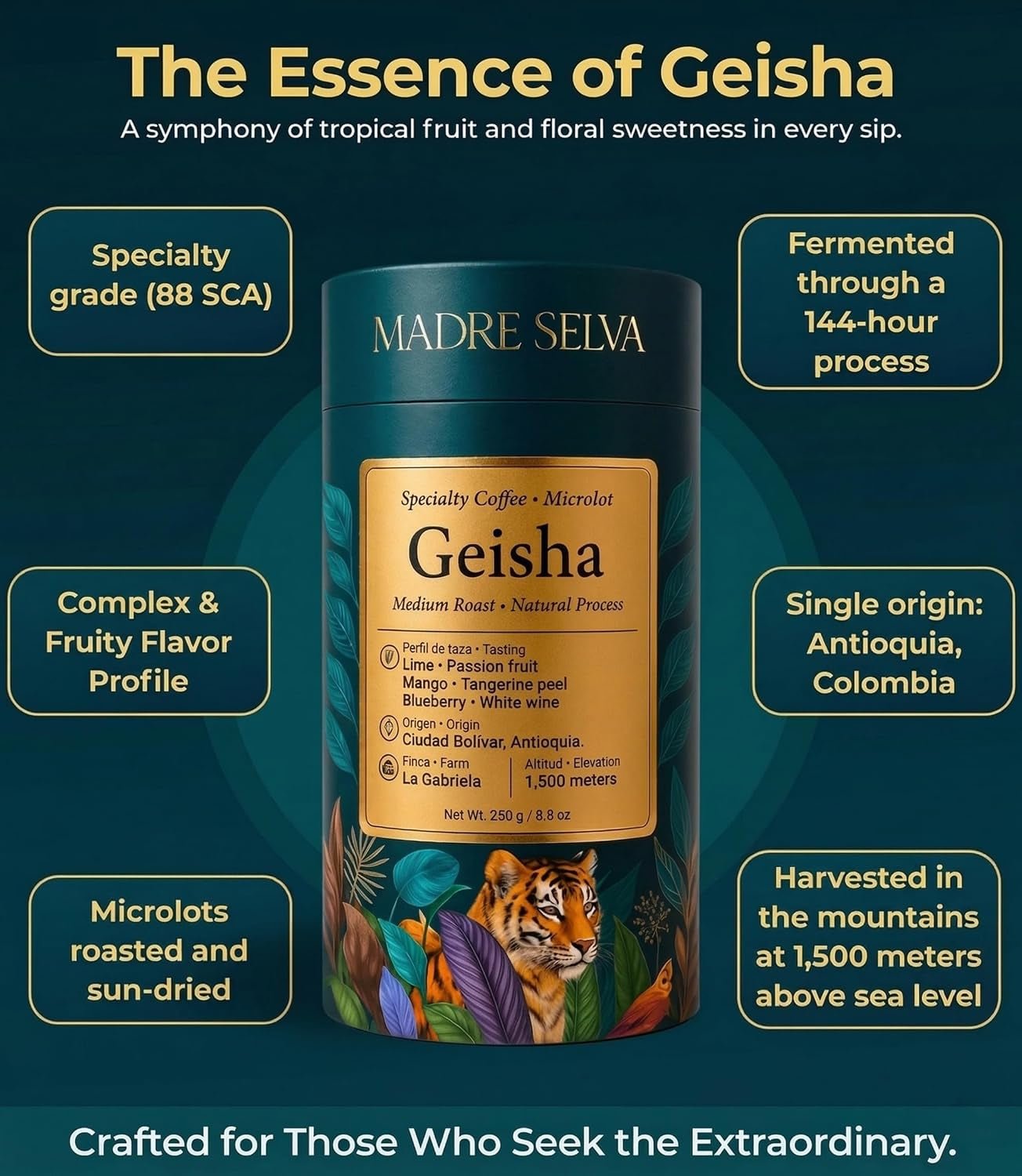 Colombian Geisha Coffee Whole Bean Medium Roast Arabica Gourmet Fresh Single Origin Premium Low Acid Exotic Notes Rich Aroma Smooth Flavor Quality High Altitude Giftable Pack Freshness Lock 8.8Oz 250G - Haynesworld General Goods
