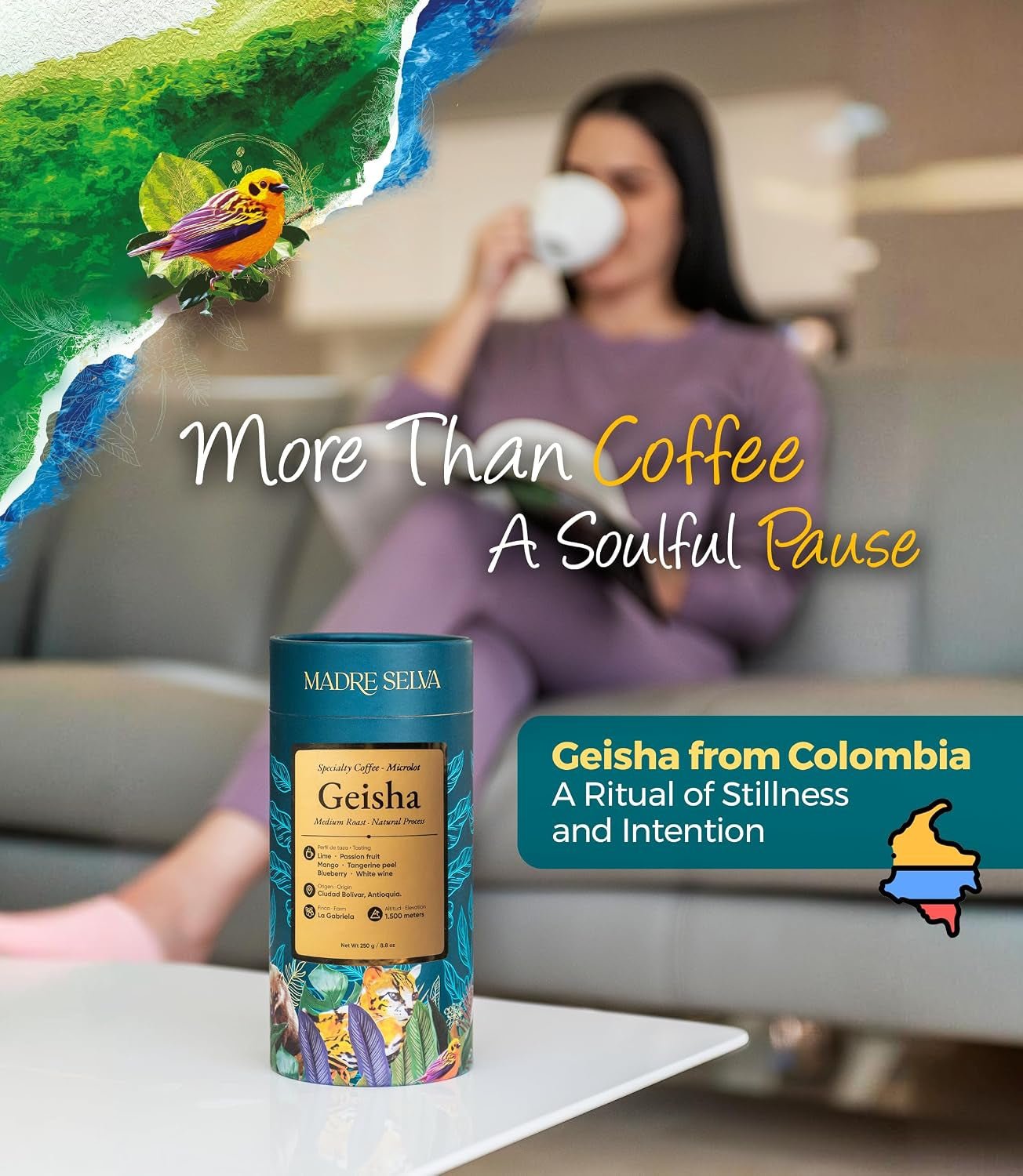 Colombian Geisha Coffee Whole Bean Medium Roast Arabica Gourmet Fresh Single Origin Premium Low Acid Exotic Notes Rich Aroma Smooth Flavor Quality High Altitude Giftable Pack Freshness Lock 8.8Oz 250G - Haynesworld General Goods