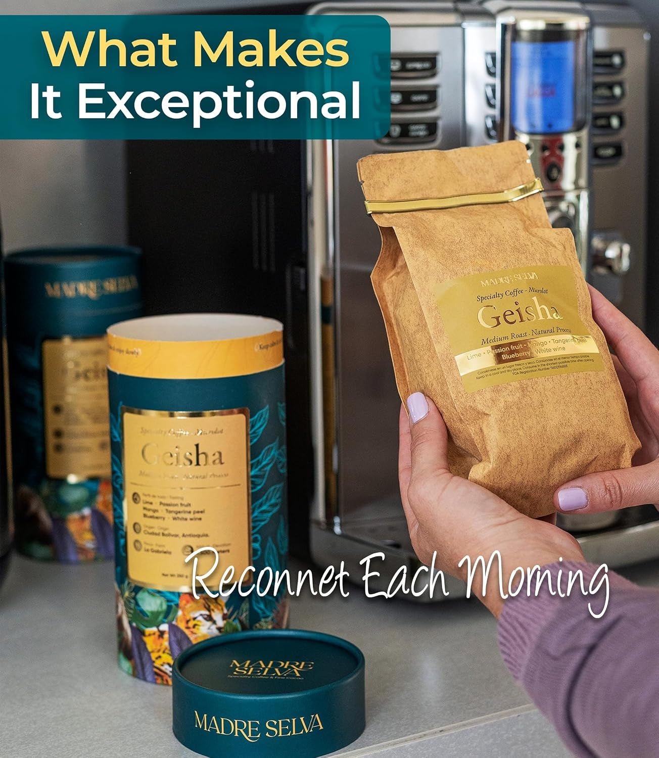 Colombian Geisha Coffee Whole Bean Medium Roast Arabica Gourmet Fresh Single Origin Premium Low Acid Exotic Notes Rich Aroma Smooth Flavor Quality High Altitude Giftable Pack Freshness Lock 8.8Oz 250G - Haynesworld General Goods