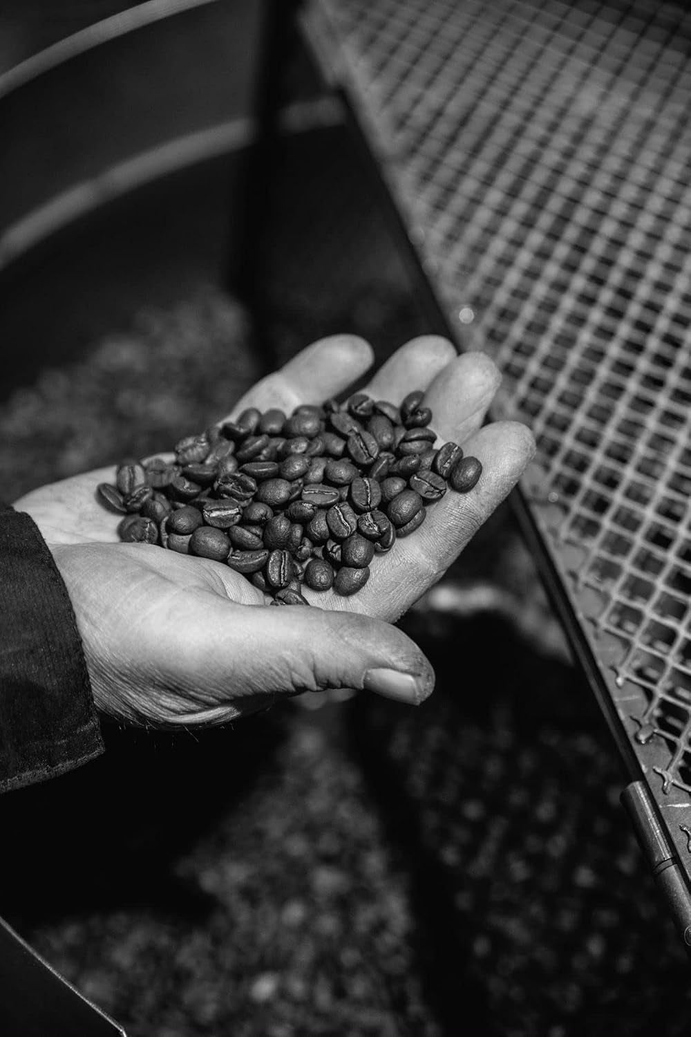 Crema Oro Italian Whole Espresso Beans – Medium Roast Coffee – Smooth & Aromatic with Notes of Spices, Caramel & Sandalwood – 1.1 Lb (500 G) - Haynesworld General Goods