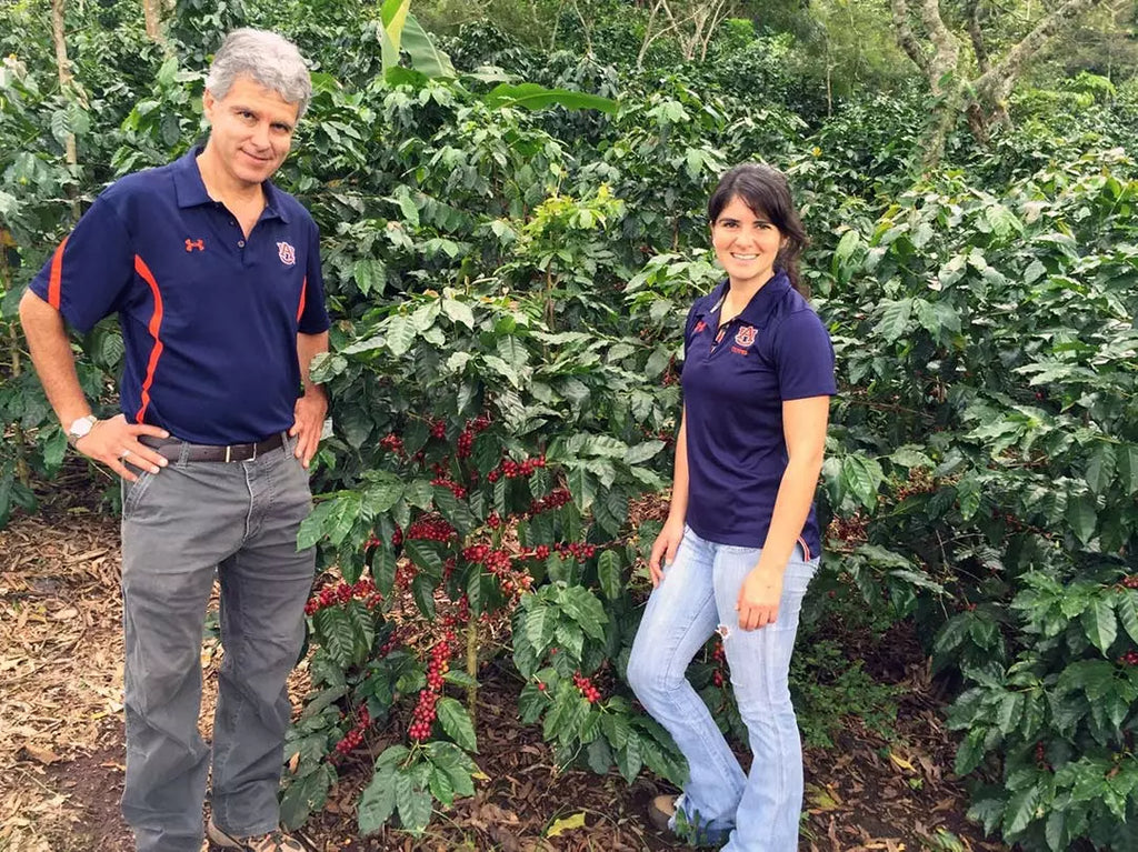 Farmer's Daughter Blend