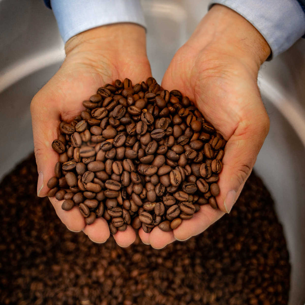 Enzyme Fermented Coffee - Family Size (5lb) - Shop Coffee Hobby