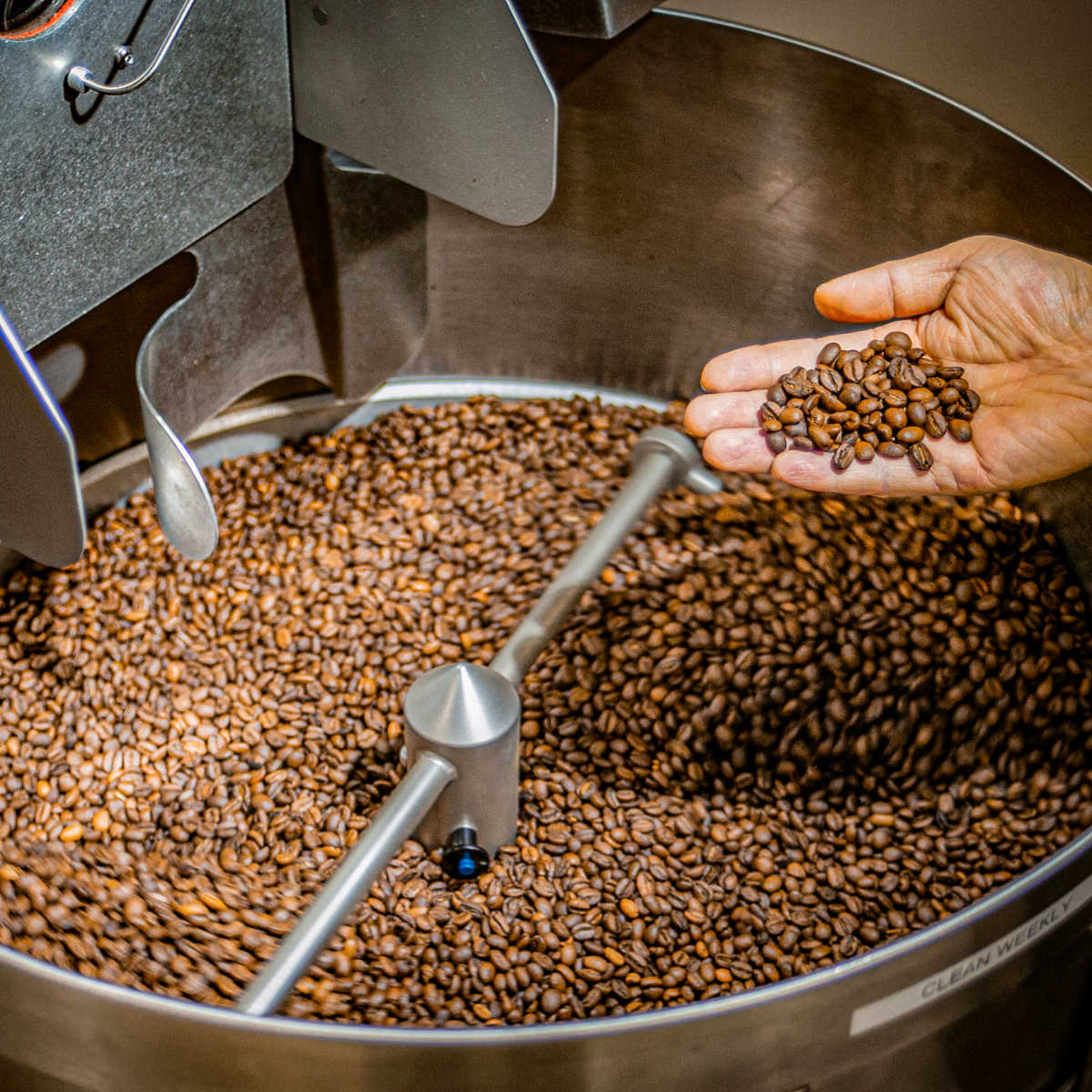 Enzyme Fermented Coffee - Family Size (5lb) - Shop Coffee Hobby