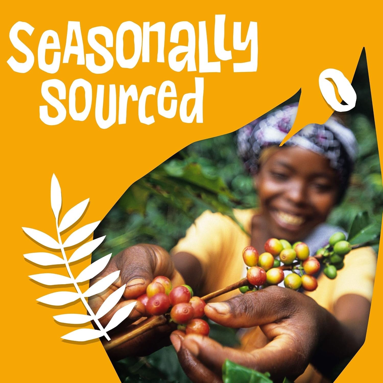 Fairtrade Organic Coffee, Whole Bean Espresso Coffee (12 Oz Bag), Sweet Espresso Medium Dark Roast, 0.75 Lb - Haynesworld General Goods