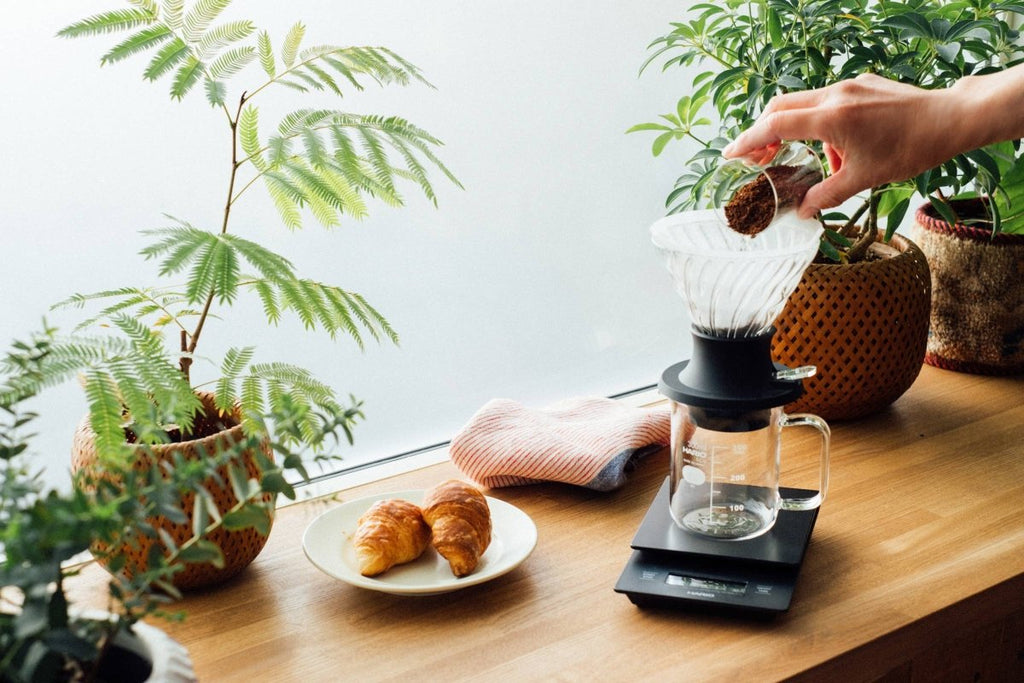 Hario - Glass Immersion Dripper SWITCH - Shop Coffee Hobby