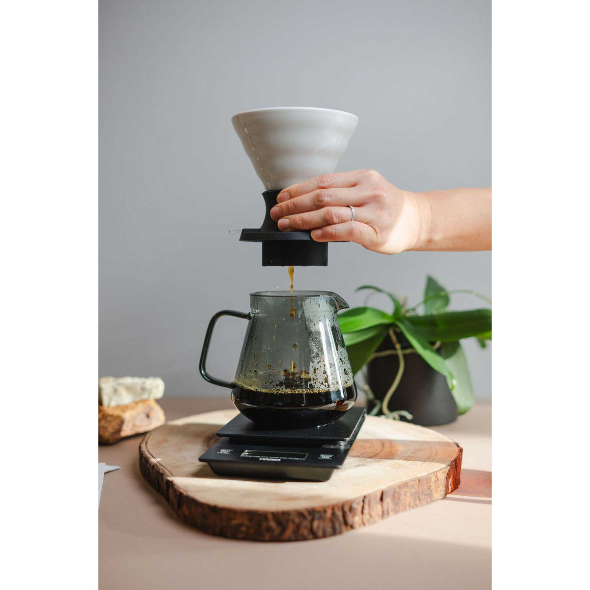 200 ml version of the Hario Switch 02 Ceramic Immersion Coffee Dripper