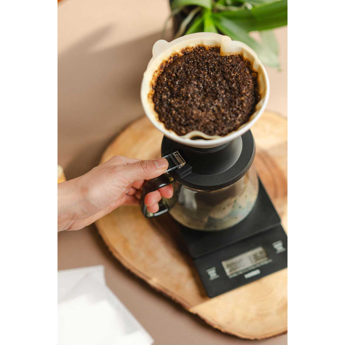 200 ml Hario Switch 02 Ceramic Immersion Coffee Dripper