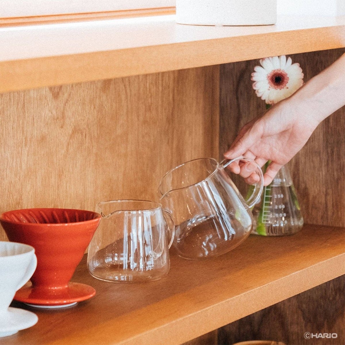 Hario - V60 Barista Server - Shop Coffee Hobby