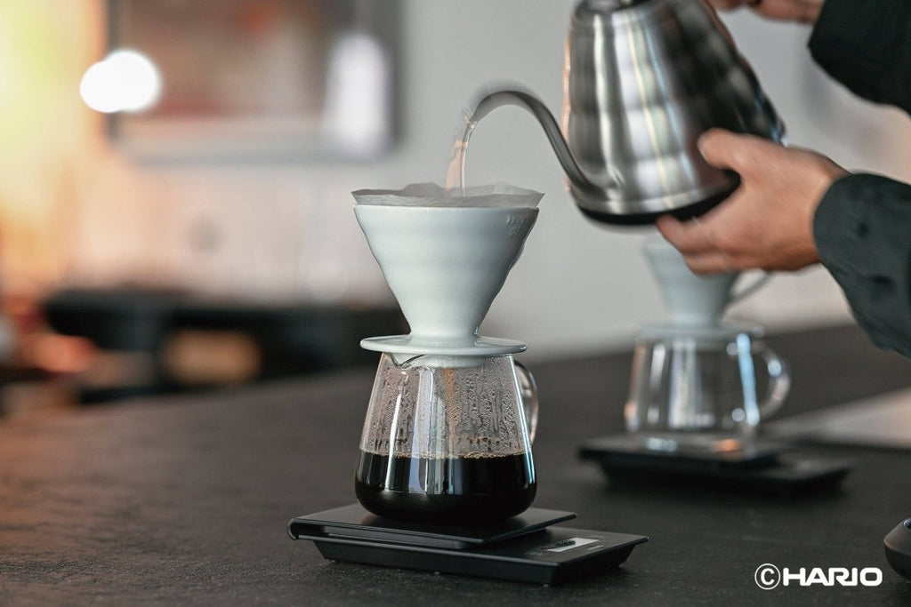 Hario - V60 Barista Server - Shop Coffee Hobby