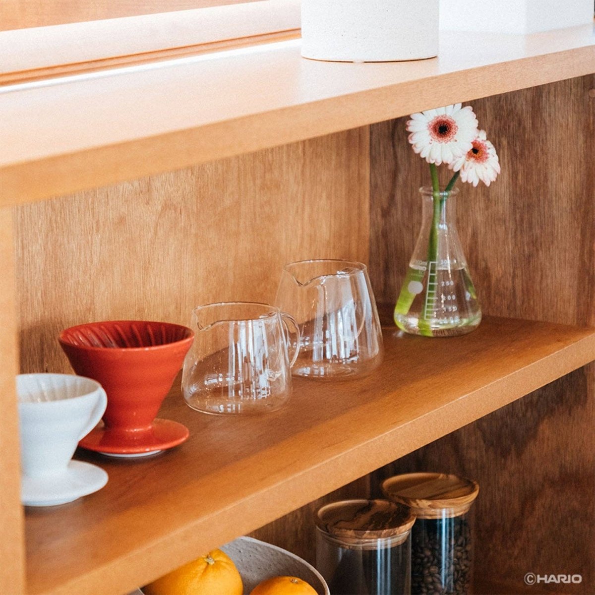 Hario - V60 Barista Server - Shop Coffee Hobby