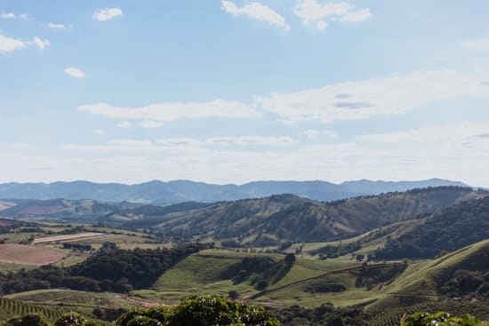 Brazil Serra Negra Natural – Medium Roast | Good Brothers Coffee