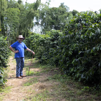 Colombia Finca Milán Nitro Toffee Culturing Caturra – SCA 89 | Fermented Coffee